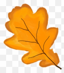 Download Yellow Painted Fall Leaf Clip - Transparent Owl Cute Art png