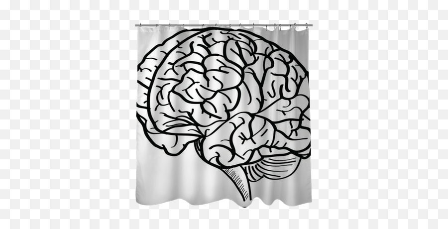 Human Brain Vector Outline Sketched - Imagens De Cerebro Contorno Png,Brain Outline Png