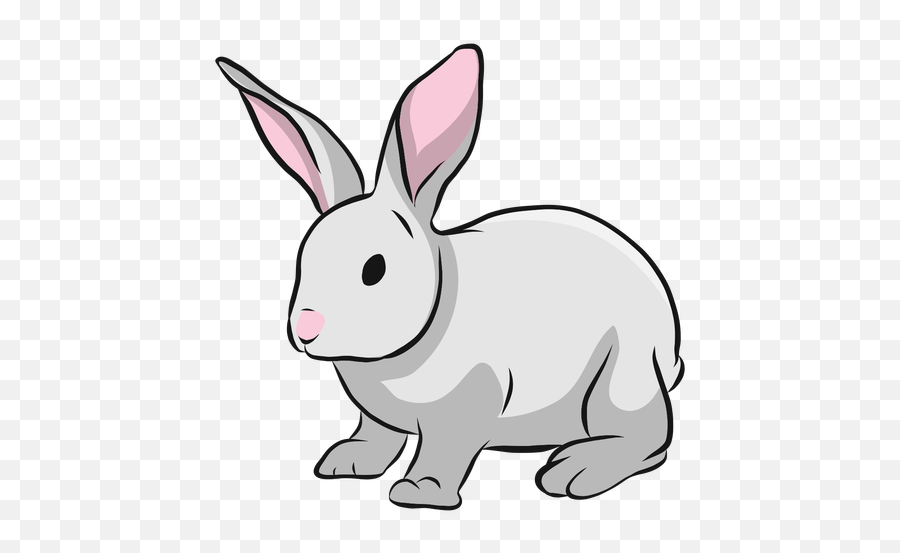 Bunny Rabbit Muzzle Ear Illustration - Ilustración De Un Conejo Png,Rabbit Transparent