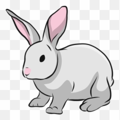 Bunny Rabbit Muzzle Ear Illustration - Ilustración De Un Conejo Png,Rabbit Transparent