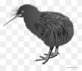 Kiwi Bird Clipart Library Download - Black Images Of png