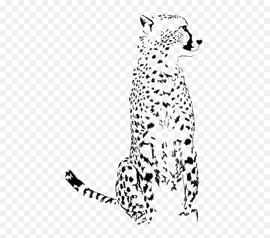 Download Cheetah Png Image Transparent - Leopard,Cheetah Png
