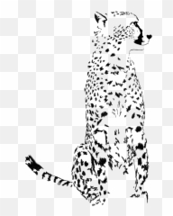 Download Cheetah Png Image Transparent - Leopard,Cheetah Png
