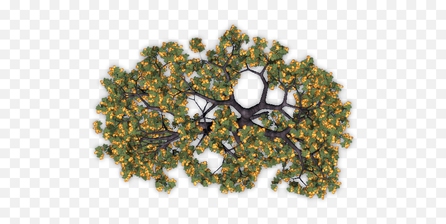Dundjinni Mapping Software - Forums Apricot Trees Camomile Png,Trees Top View Png