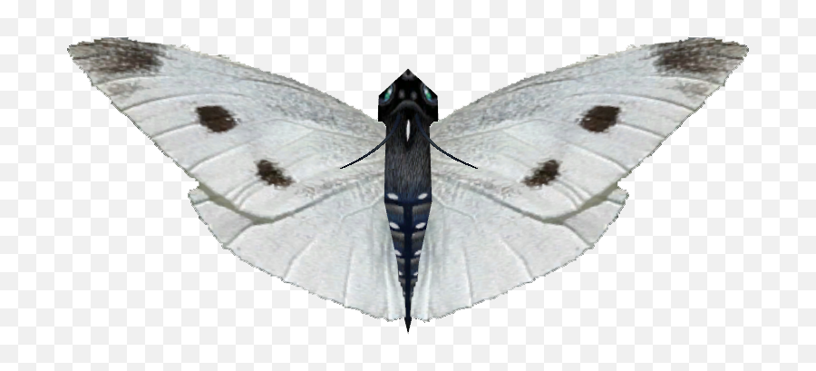 Download Ambient Small White Butterfly - Moth Full Size White Moth Png,Moth Png