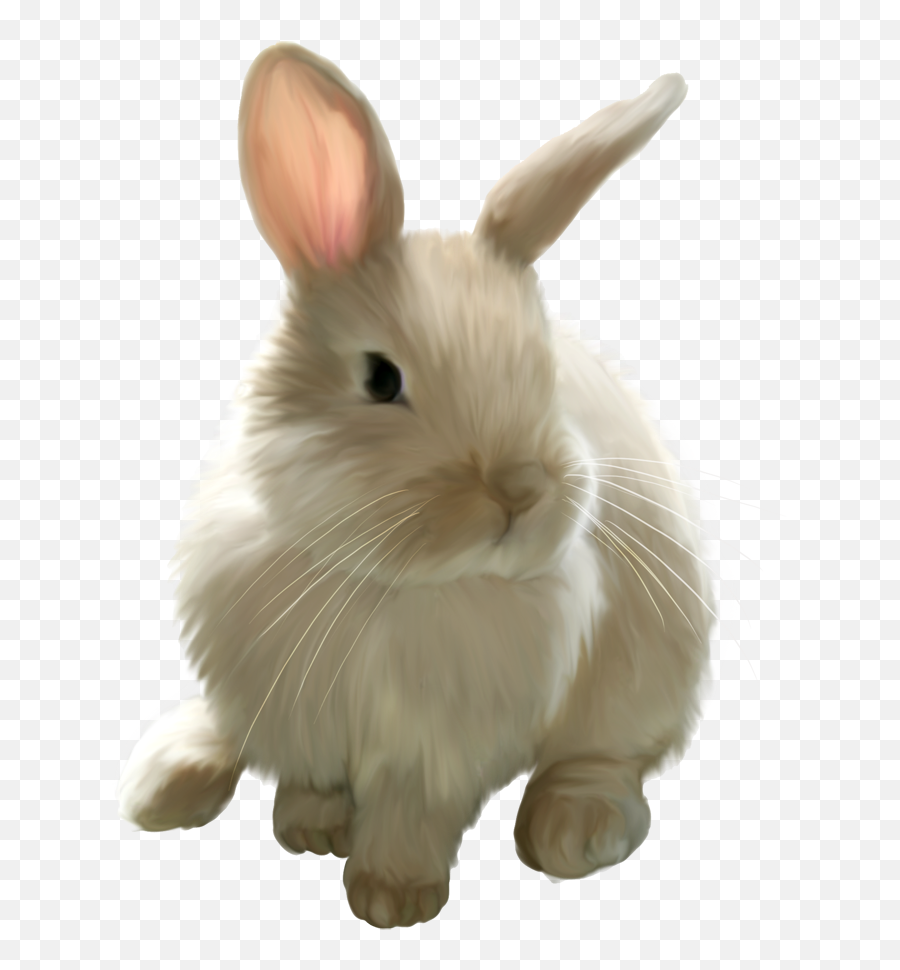 Easter Bunny Rabbit Clip Art - Transparent Background Bunny Clip Art Png,Bunnies Png