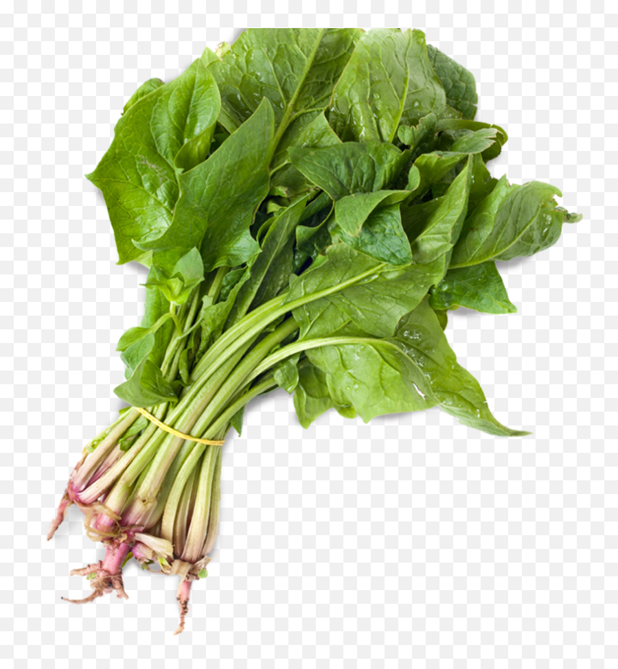 Spinach Organic Sandwich Co - Spinach Hd Png,Spinach Png