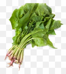 Spinach Organic Sandwich Co - Spinach Hd Png,Spinach Png