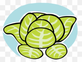 Iceberg Lettuce Photo Background Transparent Png Images And - Clip Art