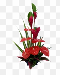 Red Tropical Flower Arrangement - Anthurium Ideas png