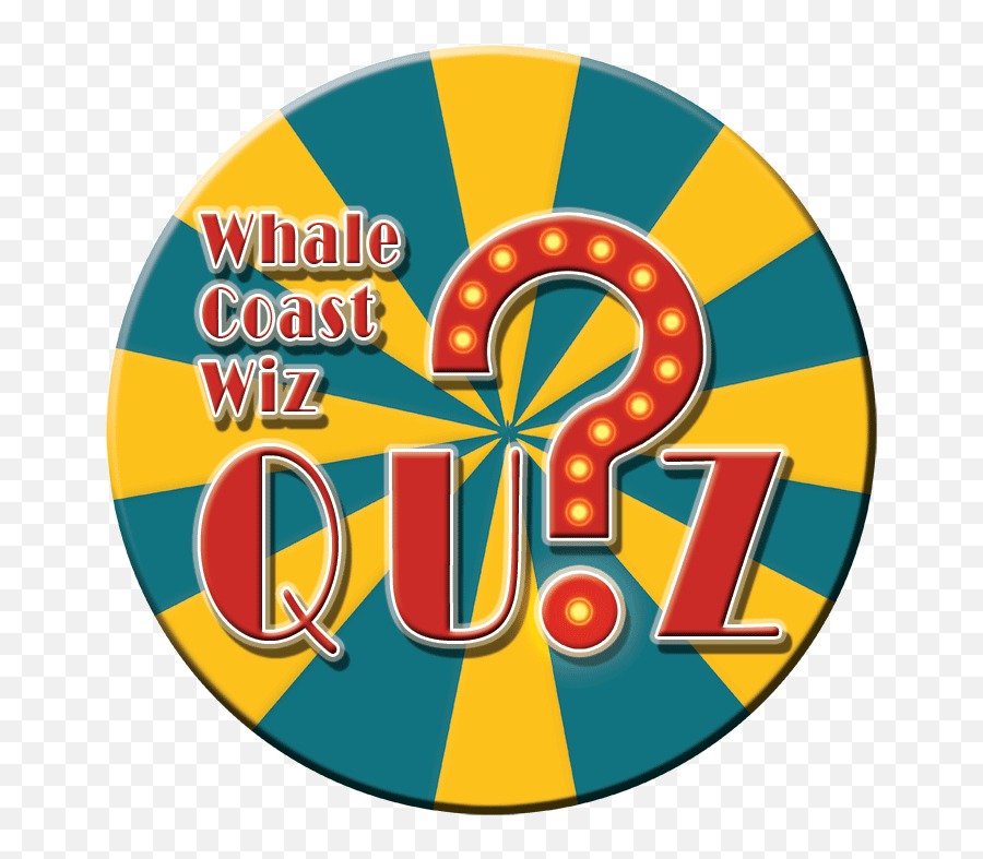 Whale Coast Wiz Quiz Vasvra Kleinmond - The Village News Dot Png,Quiz Logo