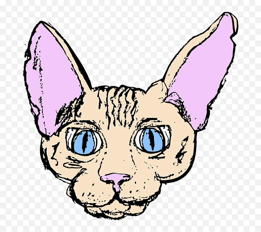 Sphinx Cat Pet Naked - Free Vector Graphic On Pixabay Ugly Png,Sphinx Png