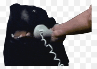 Gif Dog Png Transparent Phone Galaxyaurora U2022 - Calling Meme Gif,Funny Dog Png