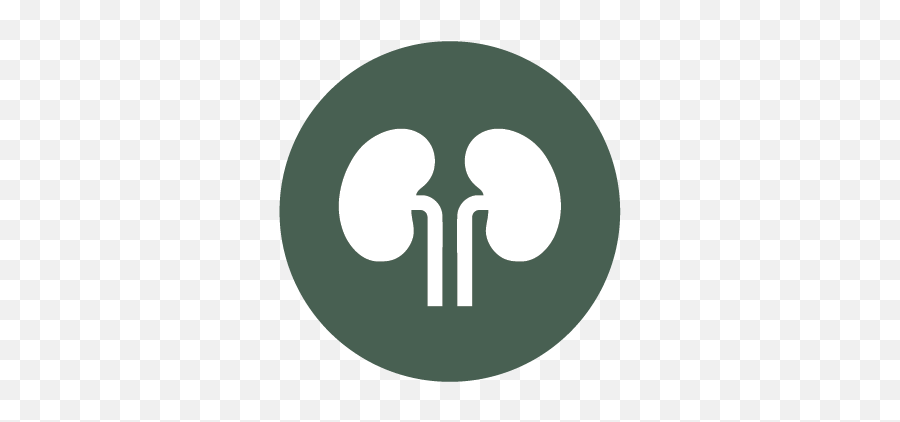Services Rocky Mountain Kidney Care - Dot Png,Dialysis Icon