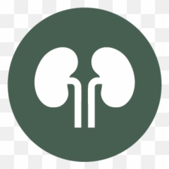Services Rocky Mountain Kidney Care - Dot png