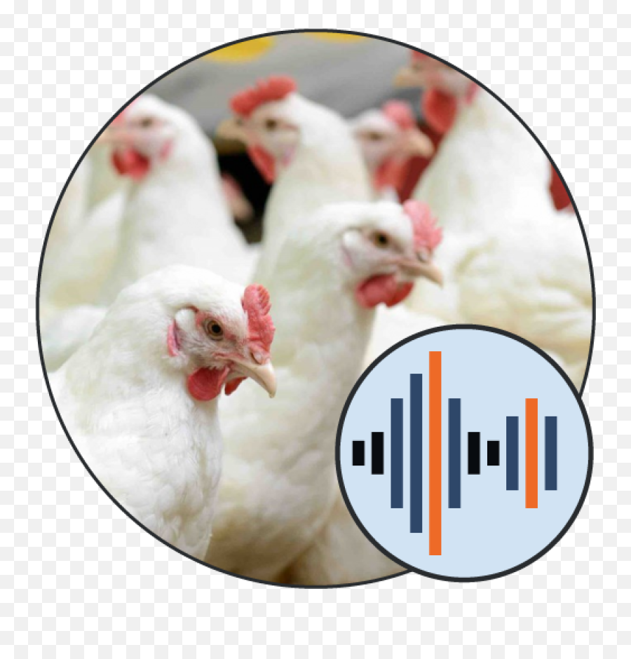 Poultry Productions Soundboard - Lazarbeam Circle Png,Zayn Malik Twitter Icon