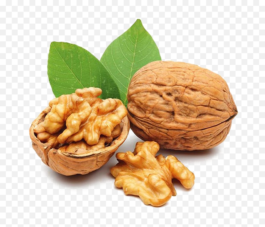 Nut Transparent Background Png - Growing Nuts,Walnut Transparent