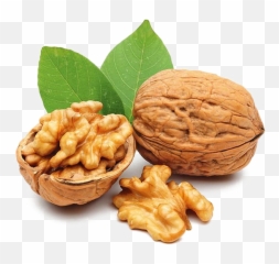 Nut Transparent Background Png - Growing Nuts,Walnut Transparent