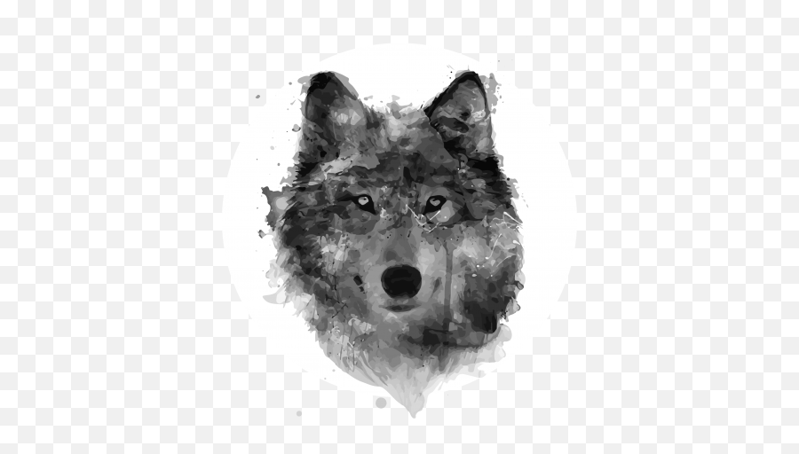 Werewolf Png Face Picture 613860 - Wolf Head Tattoo Png,Wolf Face Png