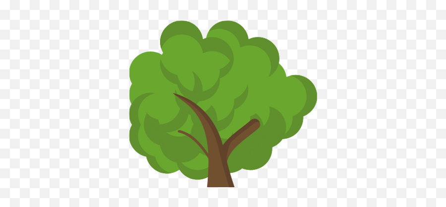 Why Choose Us Adam U0026 Eve Preschool - Tree Png,Adam And Eve Icon