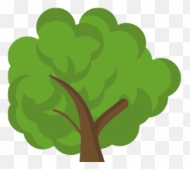 Why Choose Us Adam U0026 Eve Preschool - Tree png