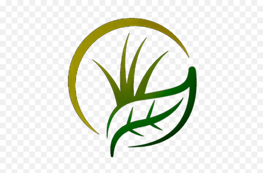 Fernbasket - The Plant Gallery Photograph Png,Lawn Care Icon Pack