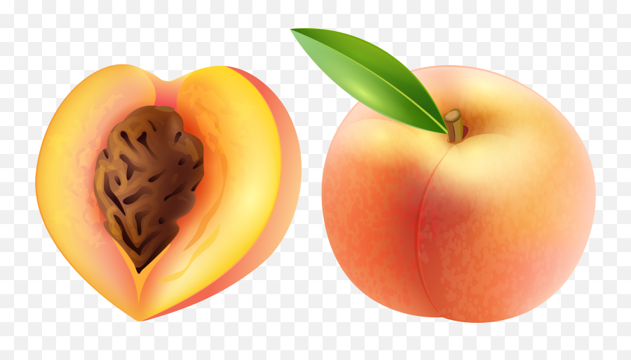 Peach Clip Art U2013 Gclipartcom - Peach Clipart Png,Peach Emoji Png