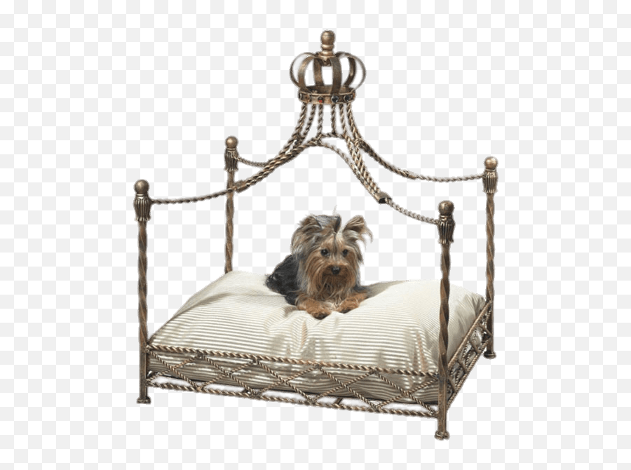 Pet Canopy Bed Transparent Png - Stickpng Dog Beds On Amazon,Bedroom Png