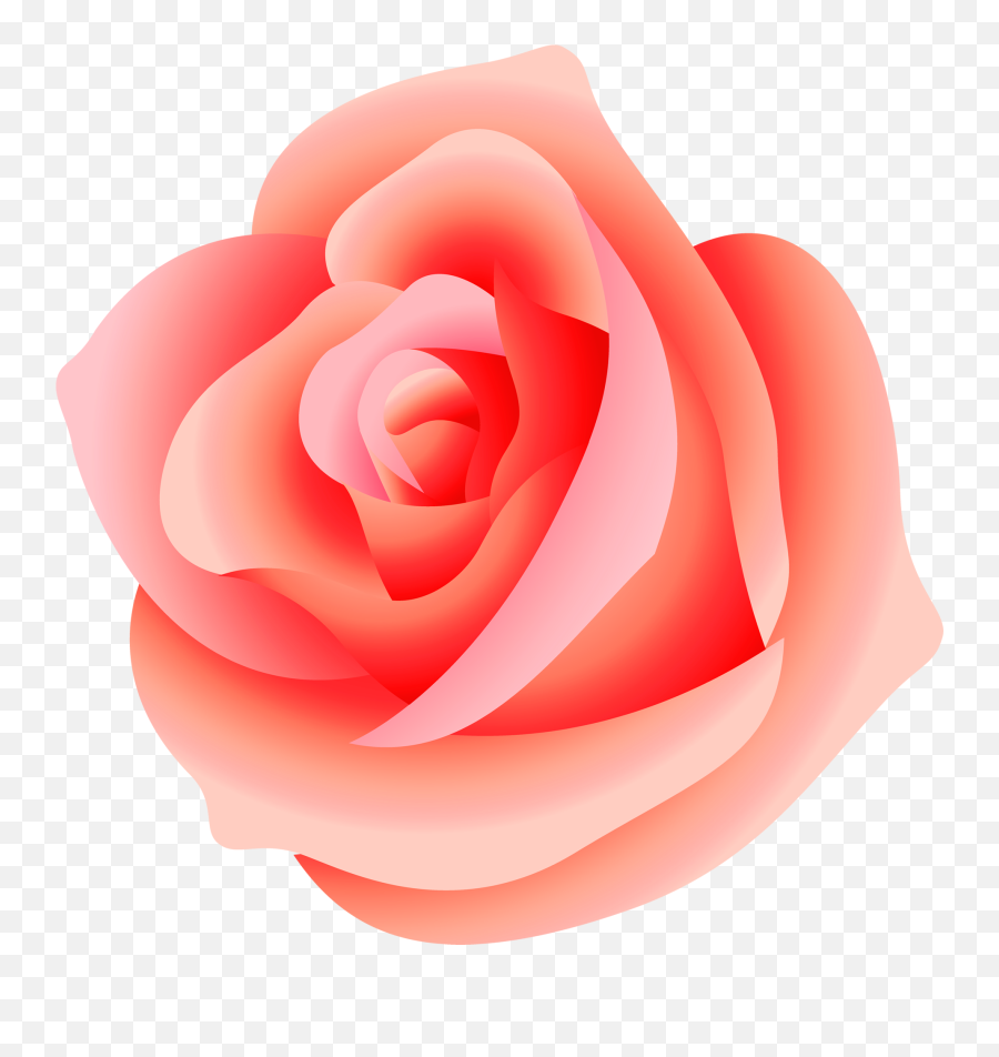 Free Pink Rose Transparent Background Download Clip Png