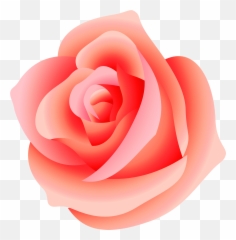 Free Pink Rose Transparent Background Download Clip Png