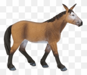 Mules Transparent Png Images - My Black Ass Tide,Mule Png
