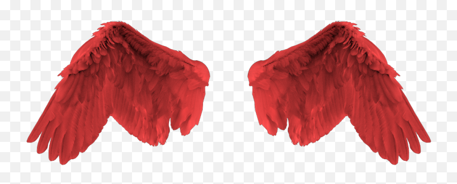 Download Red Angel Wing Png Image With No Background - Red Angel Wings Png,Wing Png