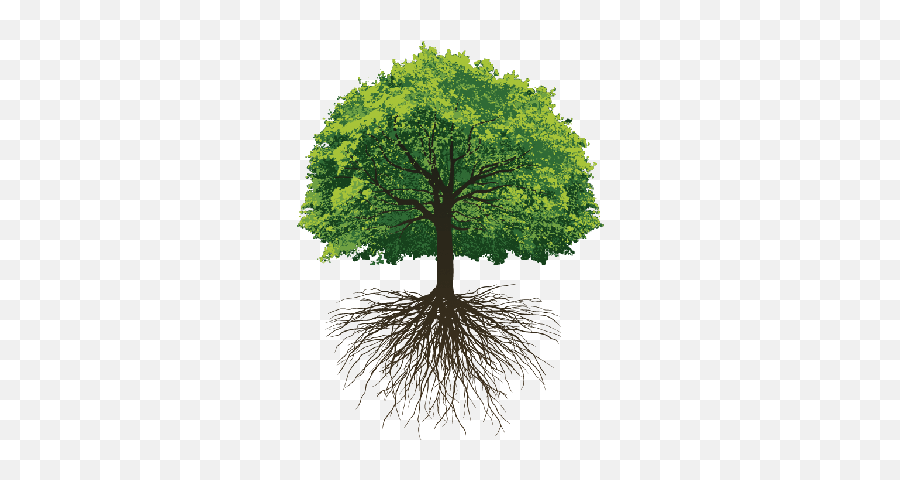 Thoughts - Transparent Oak Tree With Roots,Tree Roots Png