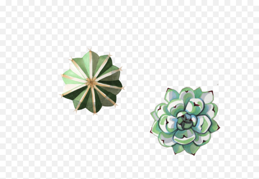 Pebble U2014 Natalie Harmon - Echeveria Png,Succulents Png