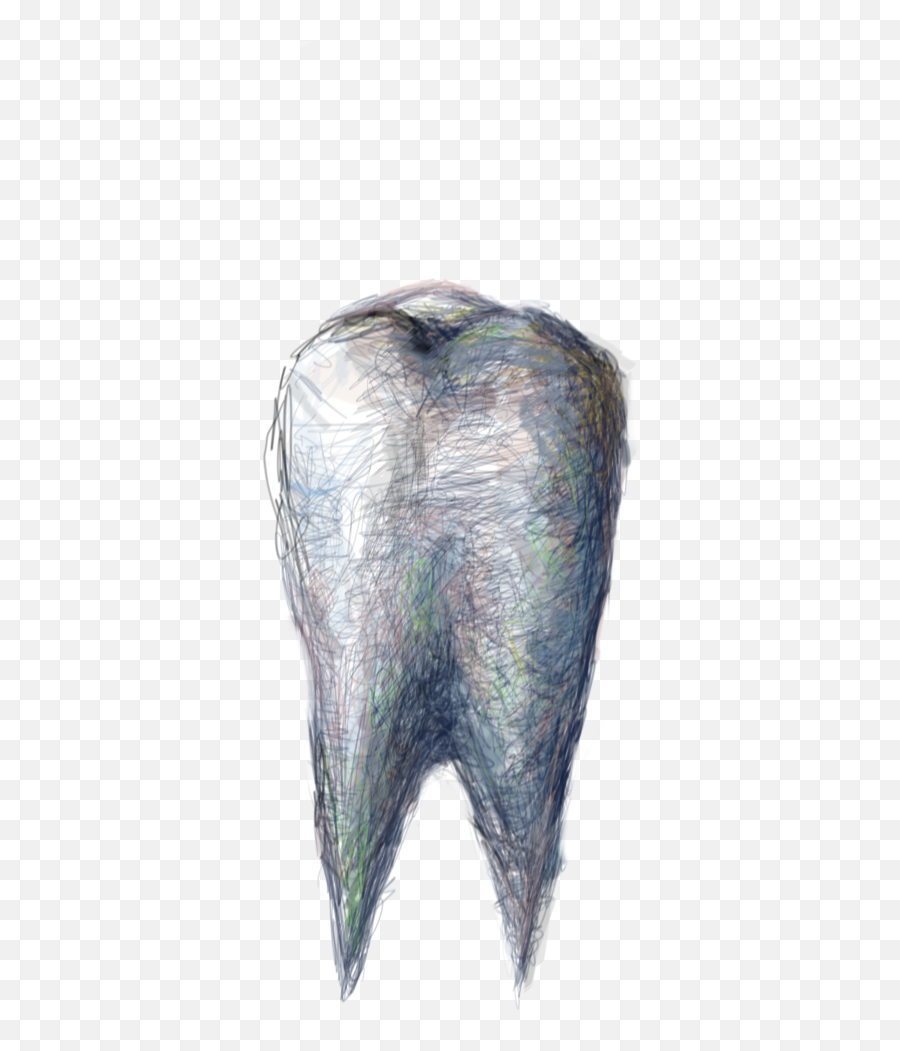 Filemyfairytoothpng - Wikipedia Sketch,4 Png