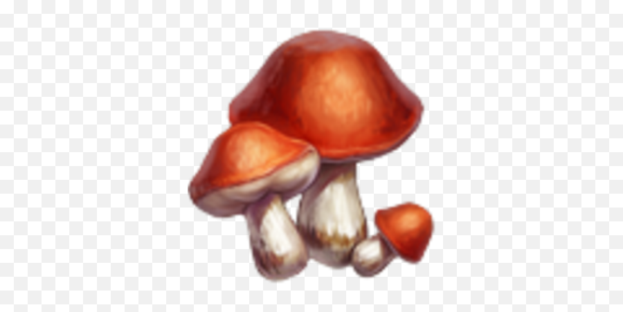 Knights And Brides Wiki - Agaric Png,Mushrooms Png