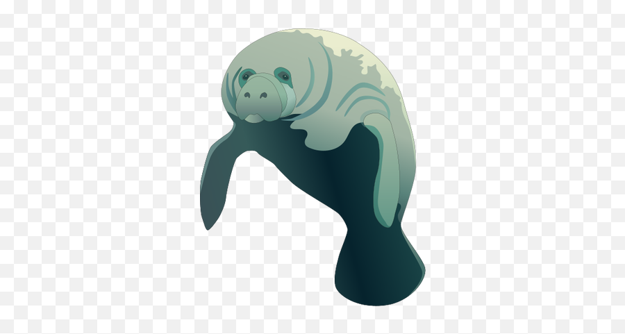Pollution River Png Cartoon Image - Manatee Vector,Manatee Png
