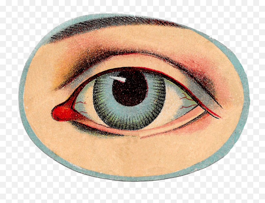 Eye - Anatomy Of Eyes Png,Human Eye Png