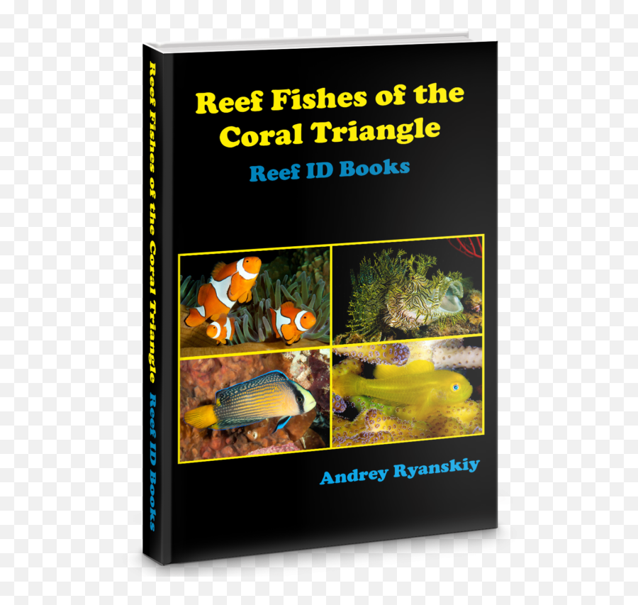 Coral Reef Crustaceans From Red Sea To Papua U2013 Id Books Png