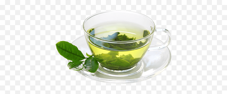 Green Tea - Wellness Kitchen Green Tea Side Effects In Urdu Png,Green Tea Png