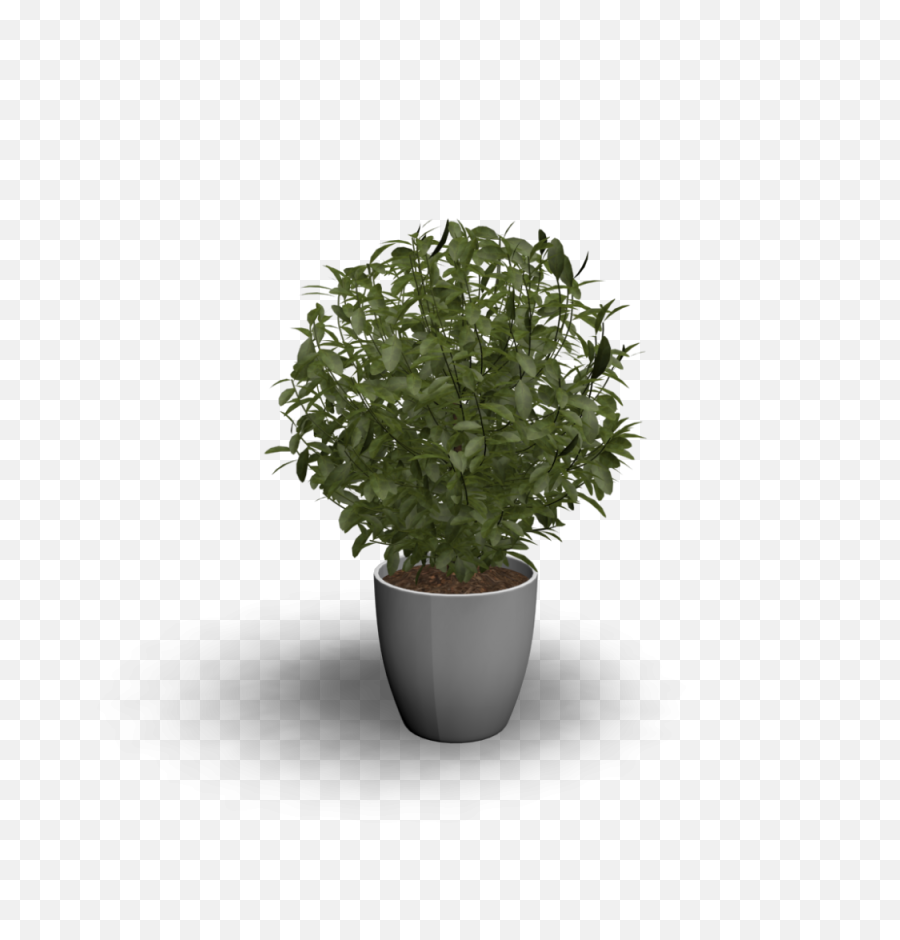 Download Hd Beautiful Indoor Plant With - Transparent 3d Plant Png,Indoor Plant Png