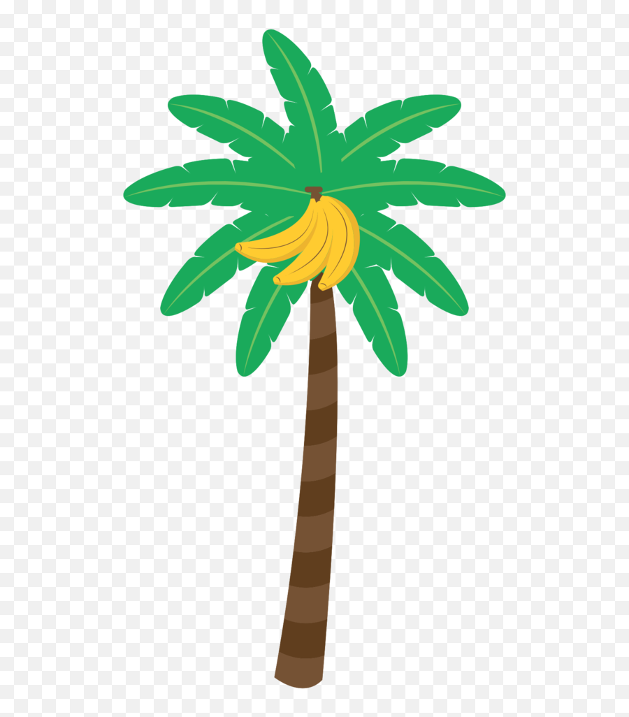 Free Palm Tree Png With Transparent Background