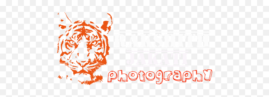Rakshith Jakati Photography U2013 See Through Different Lens - Tiger Head Logo Png,Logo Maker For Photography