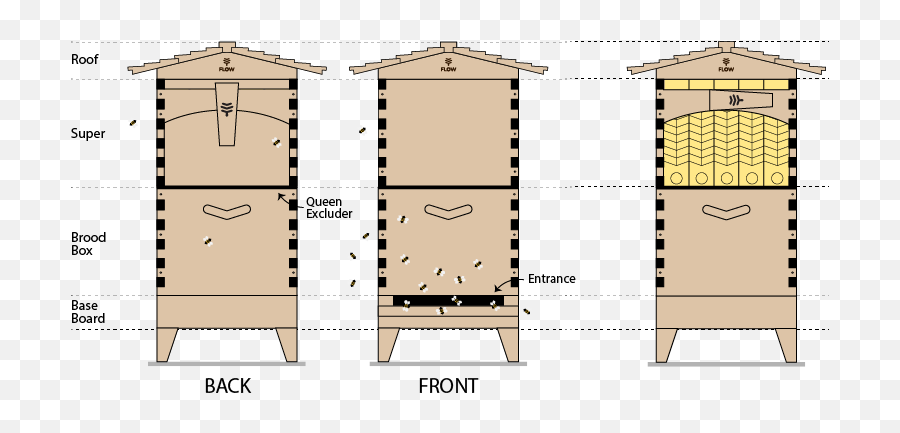 Getting Started Beekeeping - Flow Hive Queen Excluder Flow Hive Png,Bee Hive Png