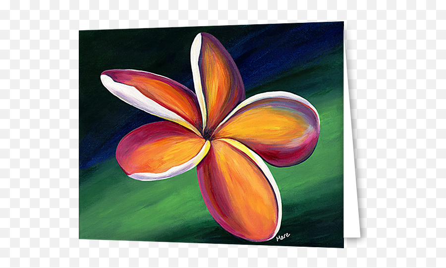 Greeting Cards In An 8 Pack Set Printed With Original Artwork Of Dancing Plumeria By Mary Anne Hjelmfelt - Still Life Photography Png,Plumeria Png