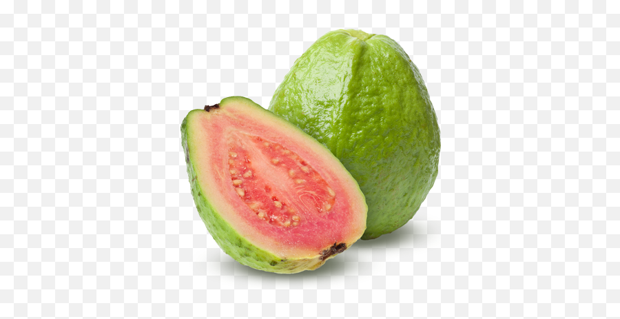 Free Transparent Avocado Download Clip Art - Guava Fruit Png,Aguacate Png