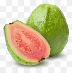 Free Transparent Avocado Download Clip Art - Guava Fruit Png,Aguacate Png