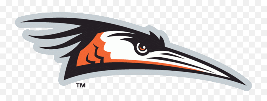 Delmarva Shorebirds Logo And Symbol - Delmarva Shorebirds Logo Transparent Png,Orioles Logo Png