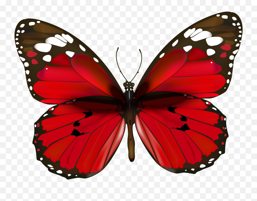 Clipart Freeuse Burgandy Butterfly Png Butterflies Transparent