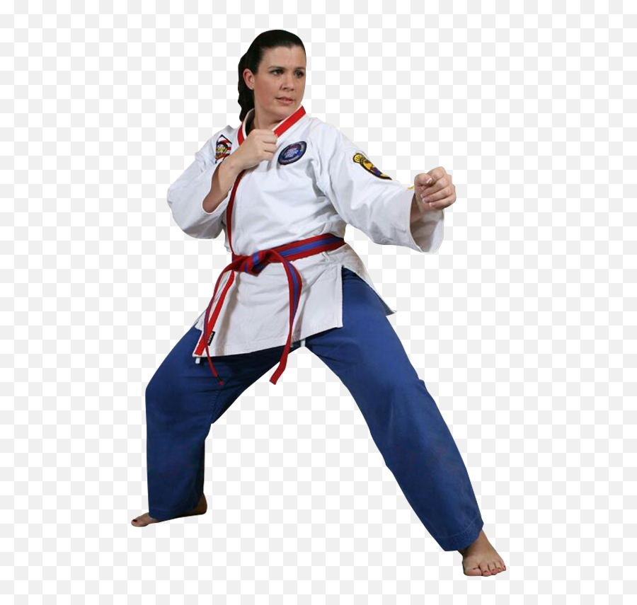 Download Woman In A Martial Arts Stance - Karate Full Size Png Martial Arts Stance,Karate Png